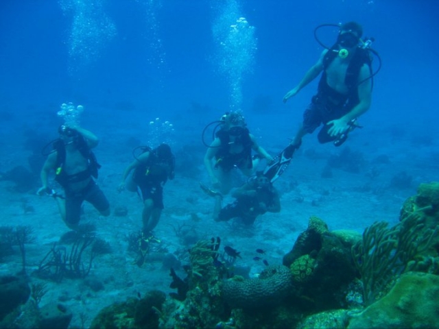 Visita guiada de buceo